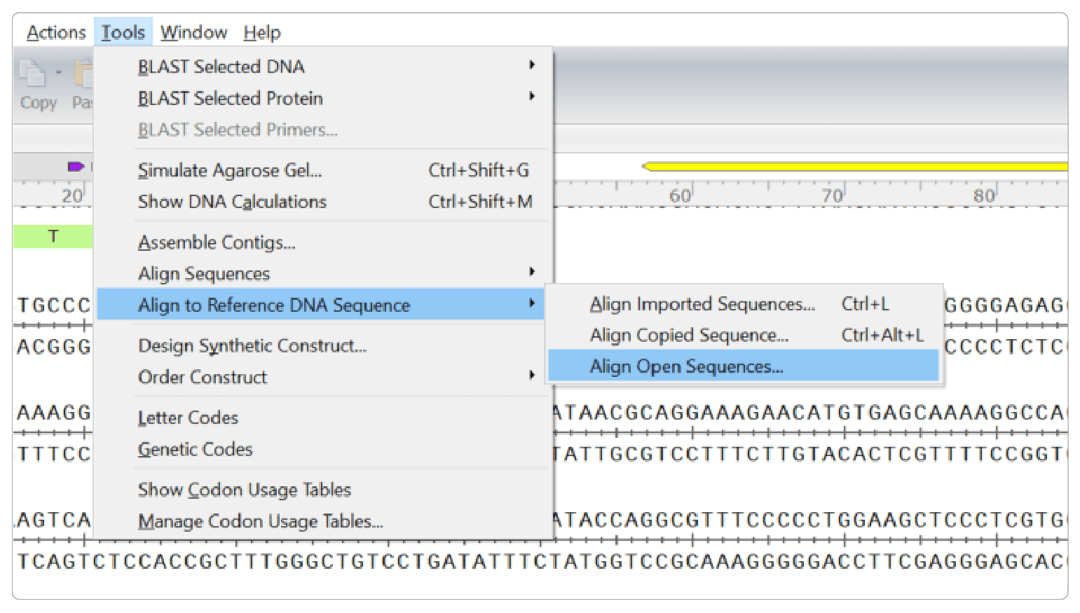 Figure 6: SnapGene Screen Capture showing Align sequence tools