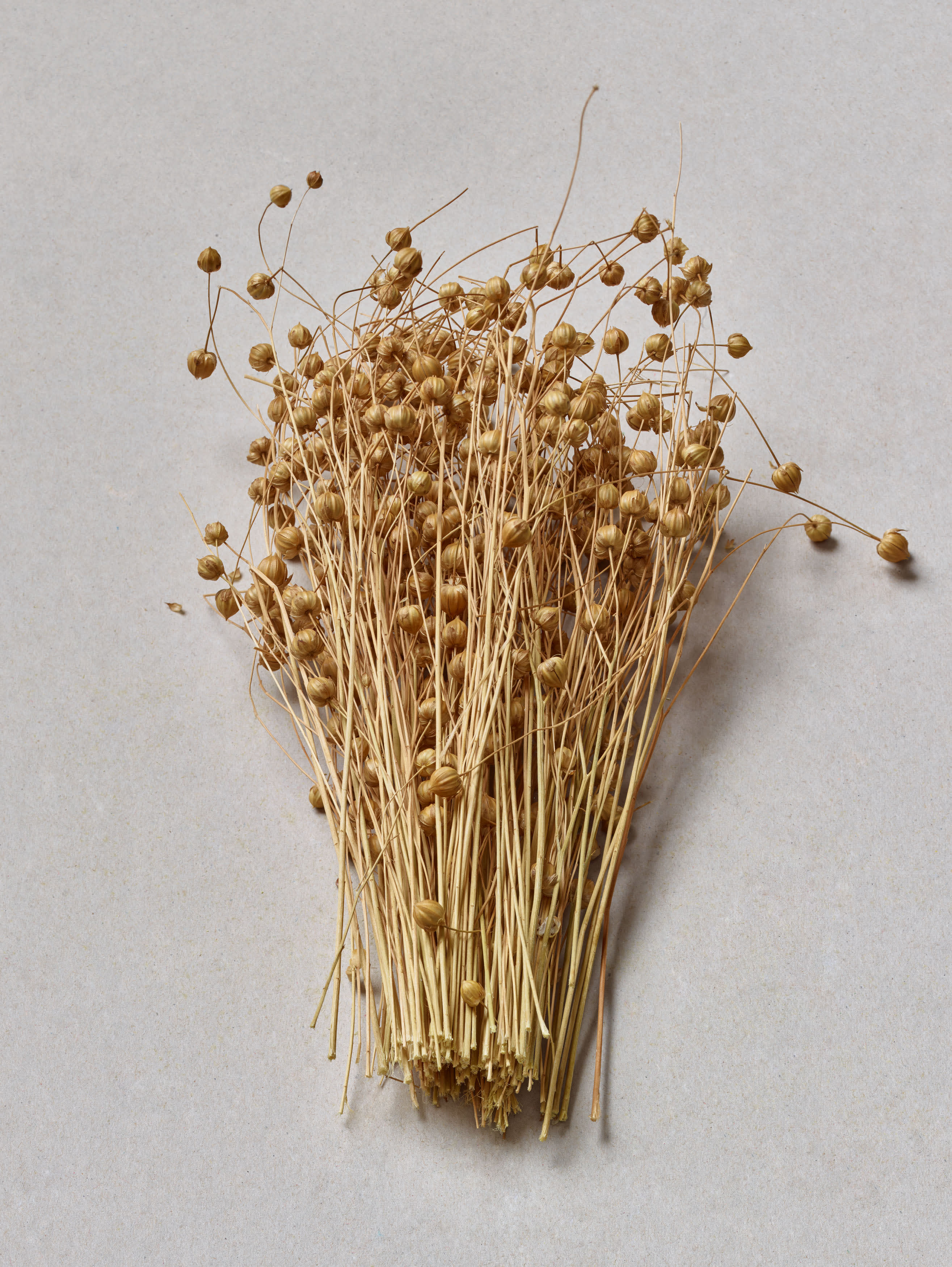 The linseed oil used in our production comes from pressed flax seeds from the flax plant.