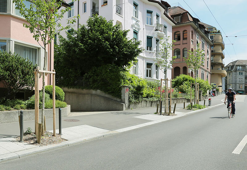 Baumwurzelschutz Stadt
