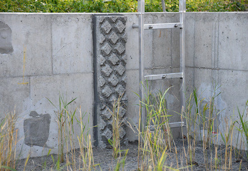 Sortie des amphibiens AMFIX® Sortie des amphibiens AMFIX®