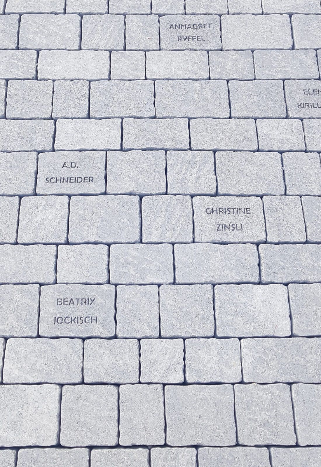 FRIEDA® Wildpflastersteine im Swiss Bike Park in Oberried