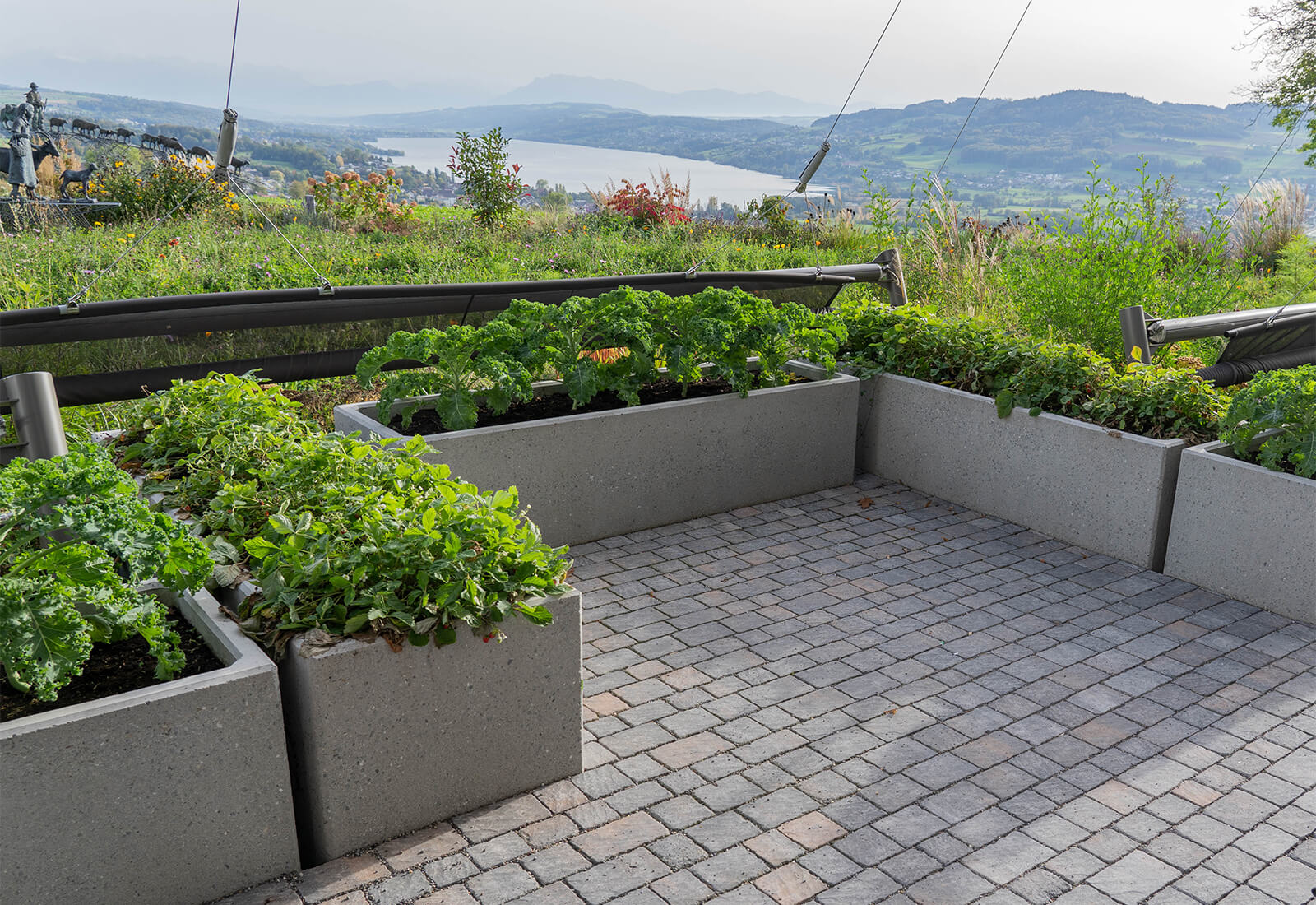 Pavés sauvages FRIEDA® pour le restaurant Eichberg Pavés sauvages FRIEDA® pour le restaurant Eichberg