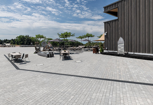 FRIEDA® Wildpflastersteine im Swiss Bike Park in Oberried