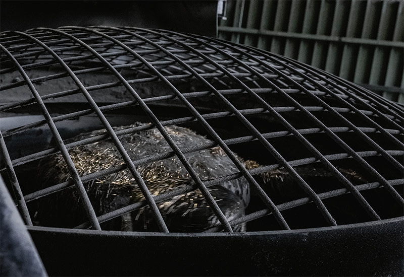 Stahlfasern Stahlfasern