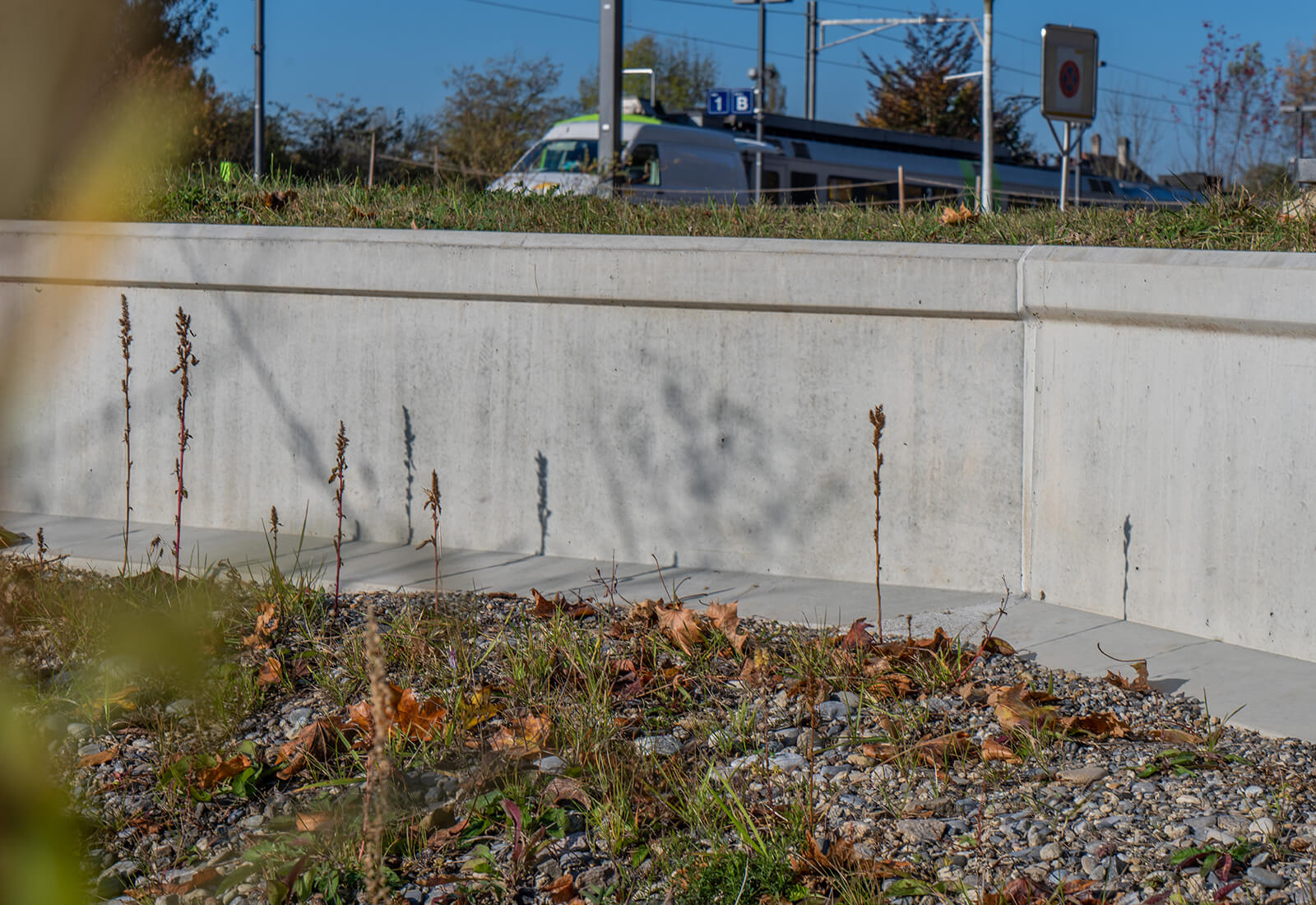 Éléments du système de guidage des amphibiens Éléments du système de guidage des amphibiens
