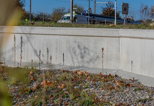 Éléments du système de guidage des amphibiens Éléments du système de guidage des amphibiens