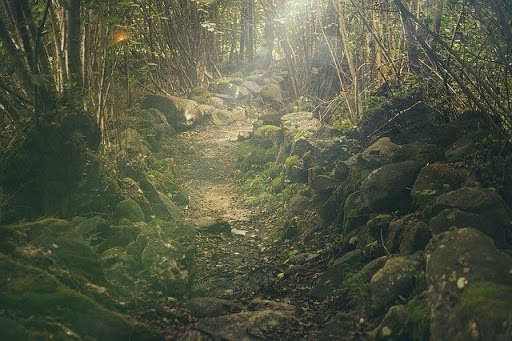 Stepping Off the Path!