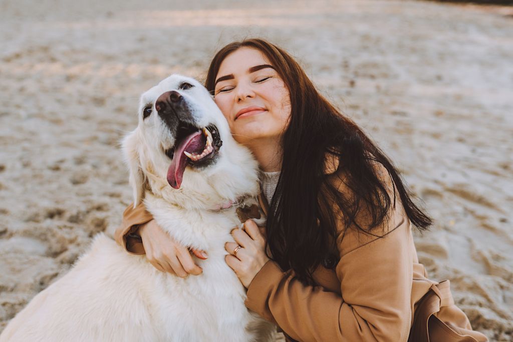 Chien heureux avec sa maîtresse