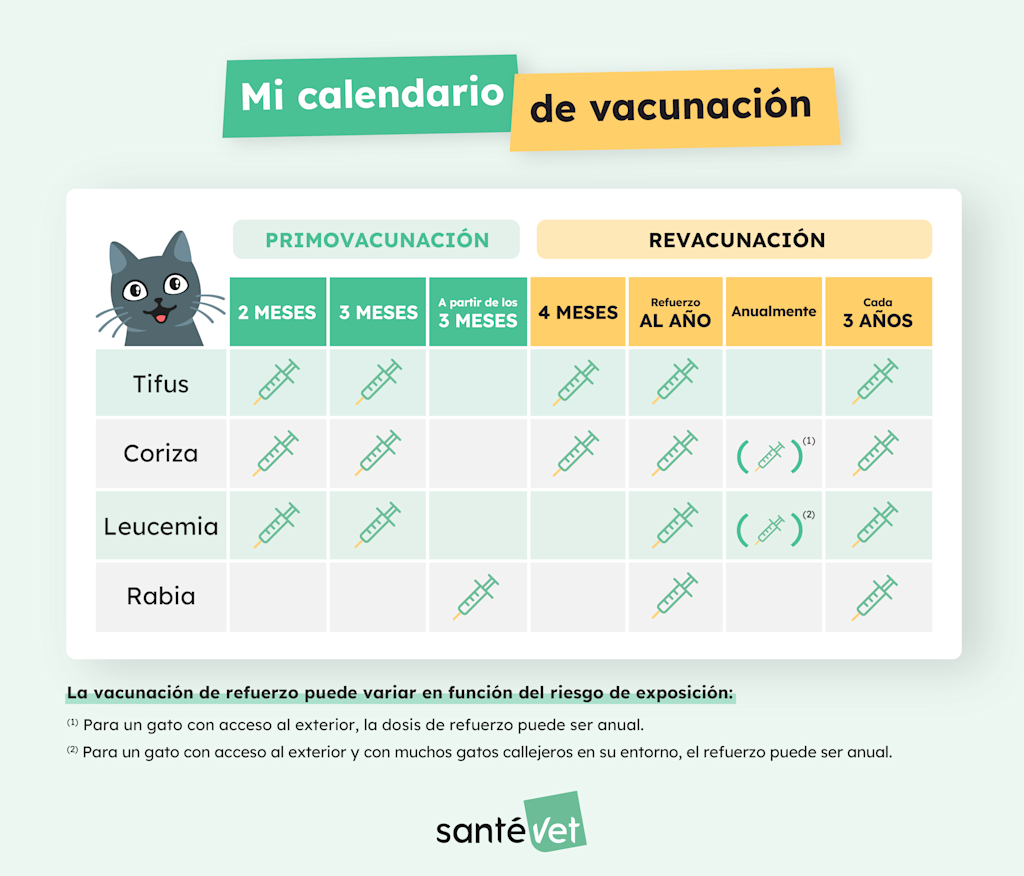 Inyección subcutánea