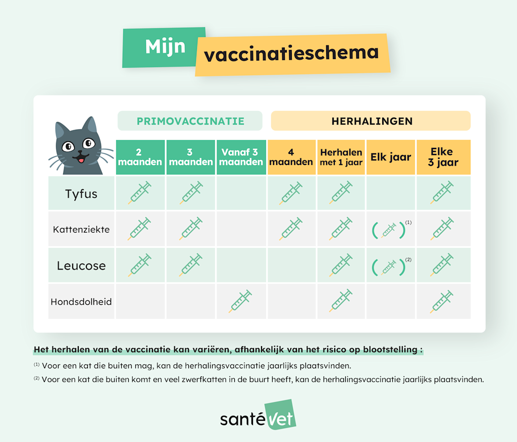 SVBE - Infographie - Calendrier Vaccination CHAt - Copie (1)