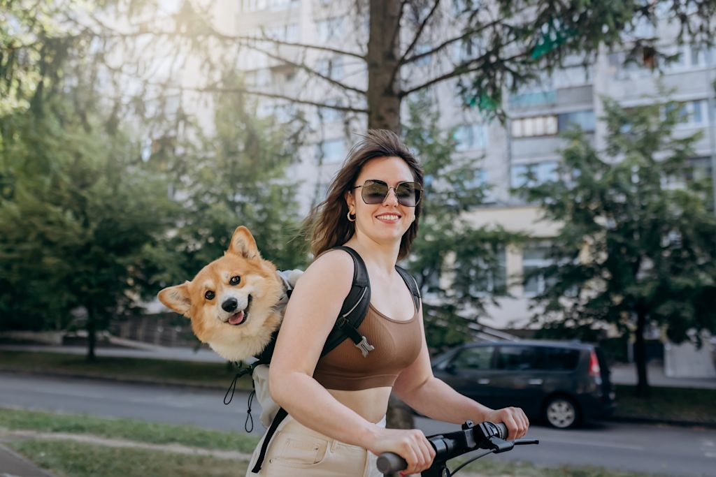 femme et son chien a scooter