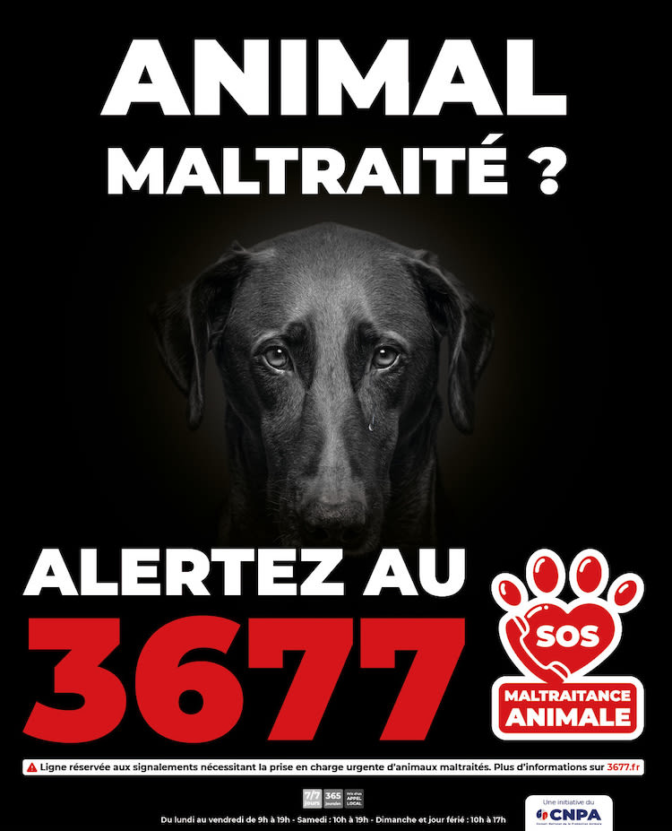 3677-SOS-maltraitance-animale-affiches