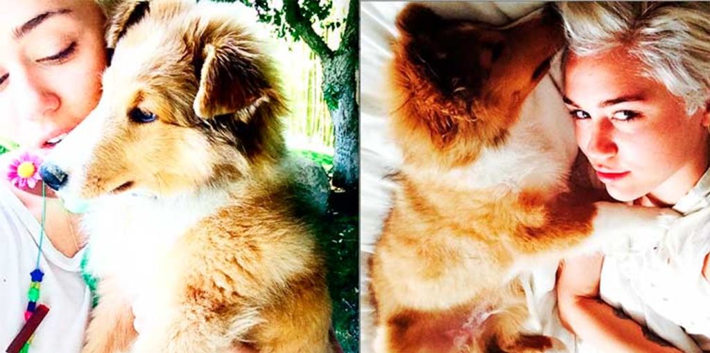 miley-cyrus-et-son-nouveau-chien