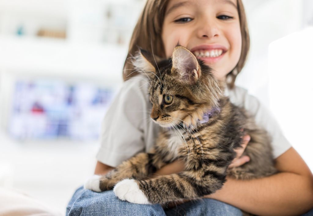 bambina con maine coon