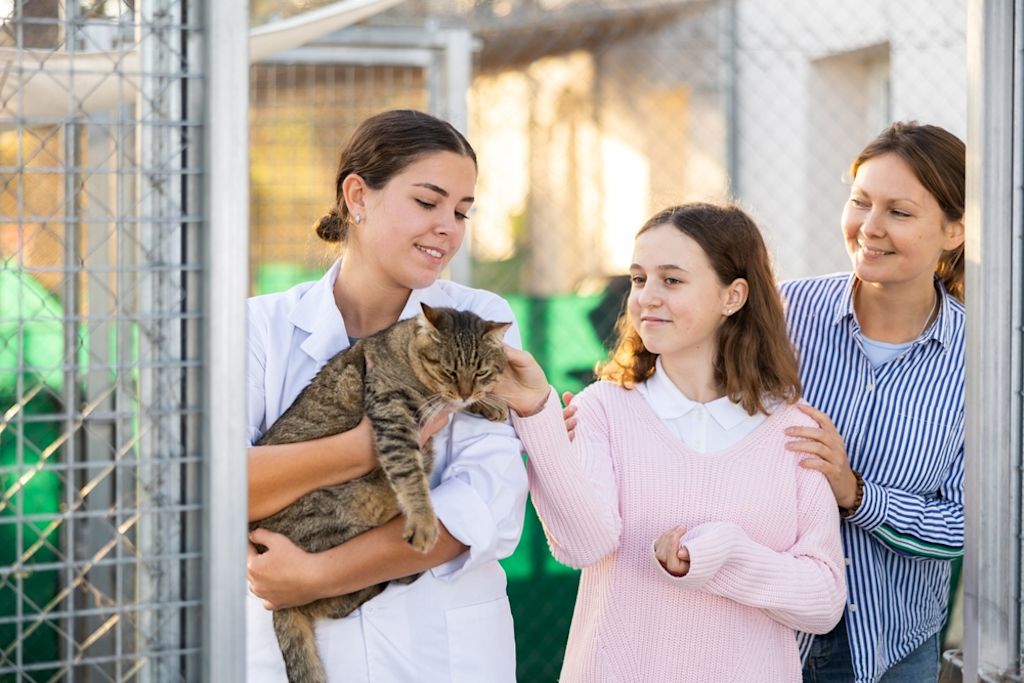 Einnahmen könnten Tierheime unterstützen