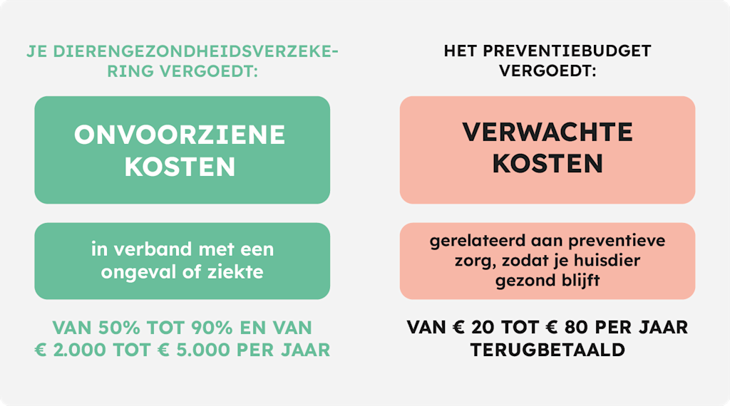 SV BE FL Article budget prév Visuel Frais imprévisibles vs prévisibles@2x