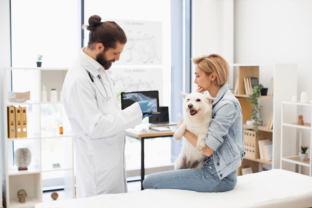 Análisis de sangre veterinario