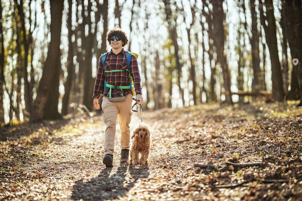 homme en randonnee avec son chien