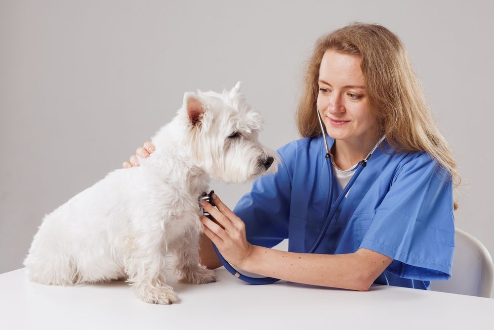 Eine Untersuchung ist wichtig