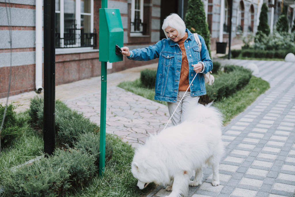 chien ramasse crottes