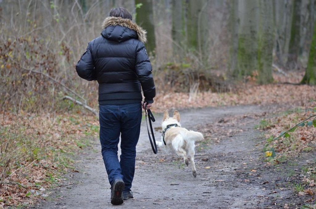 Personne agée qui promène son chien