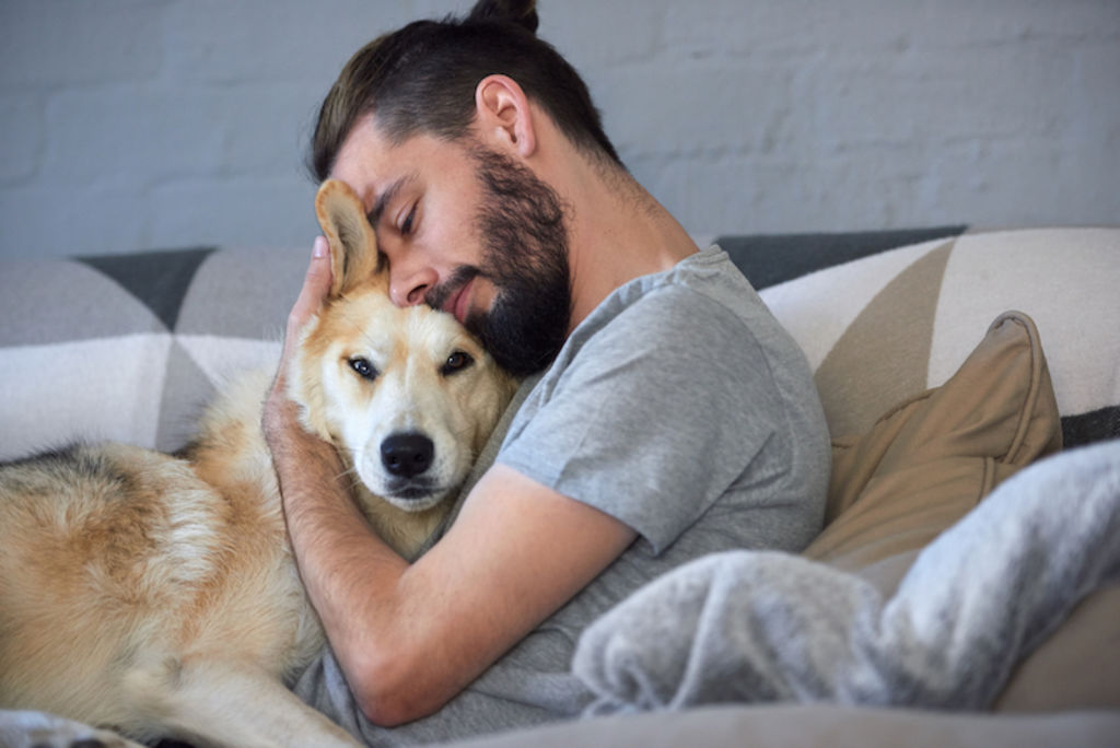 homme et chien au lit