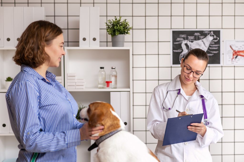 Chien chez le vétérinaire