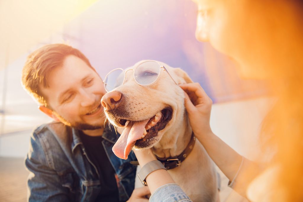 couple et son chien