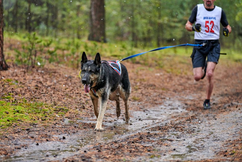 chien sportif et son maitre