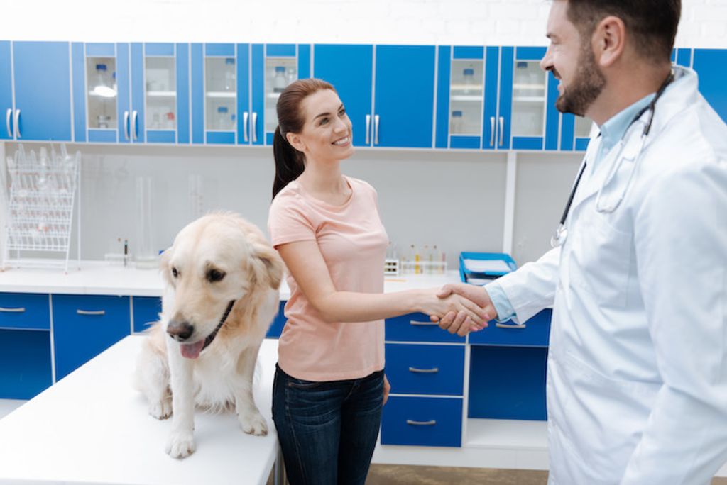 rappel vaccins chien