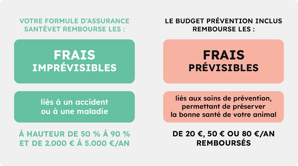 VF 2025 VISUEL BUDGET PREVENTION SV BE WA