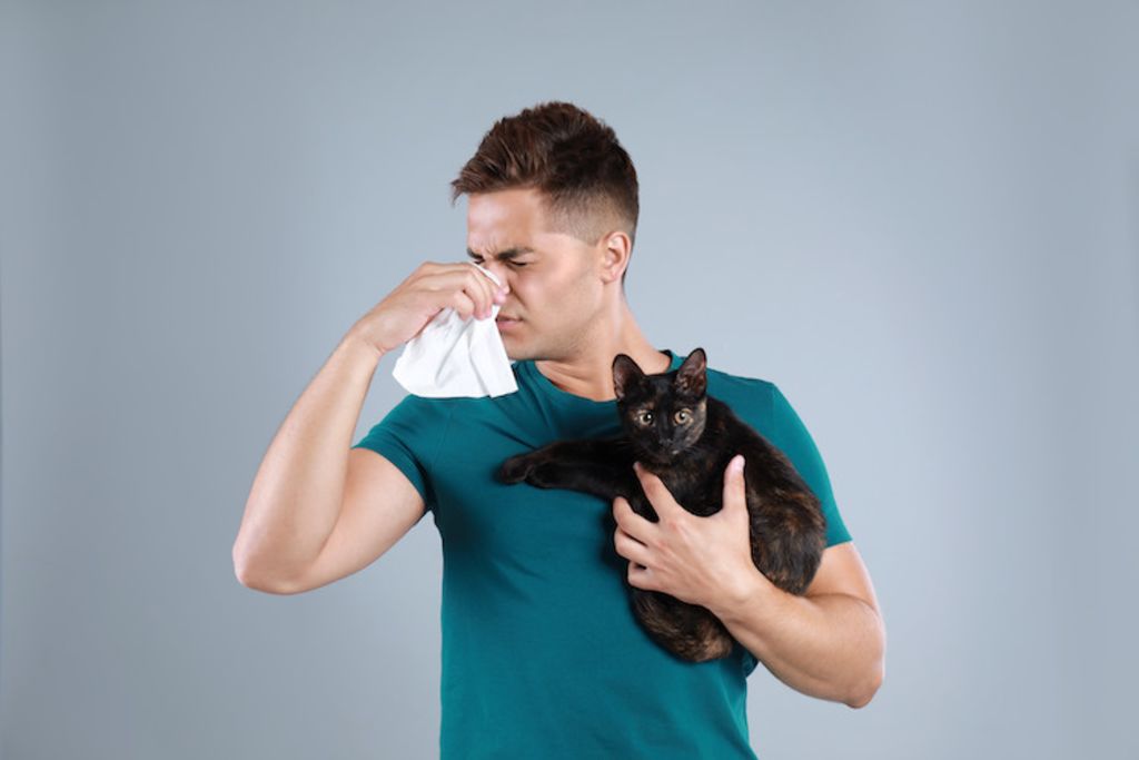 sypmtomes et taitement allergie au chat