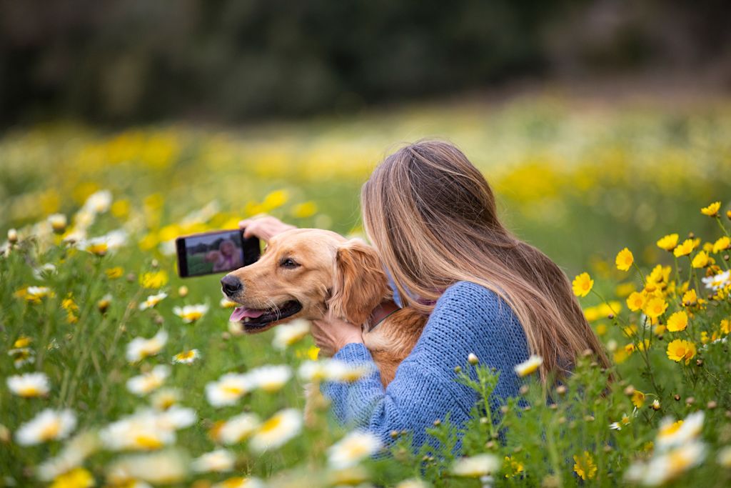 chien avec sa maitresse