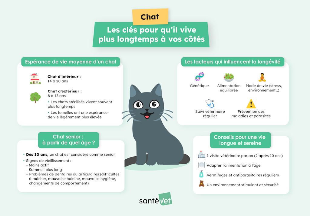 chat espérance de vie