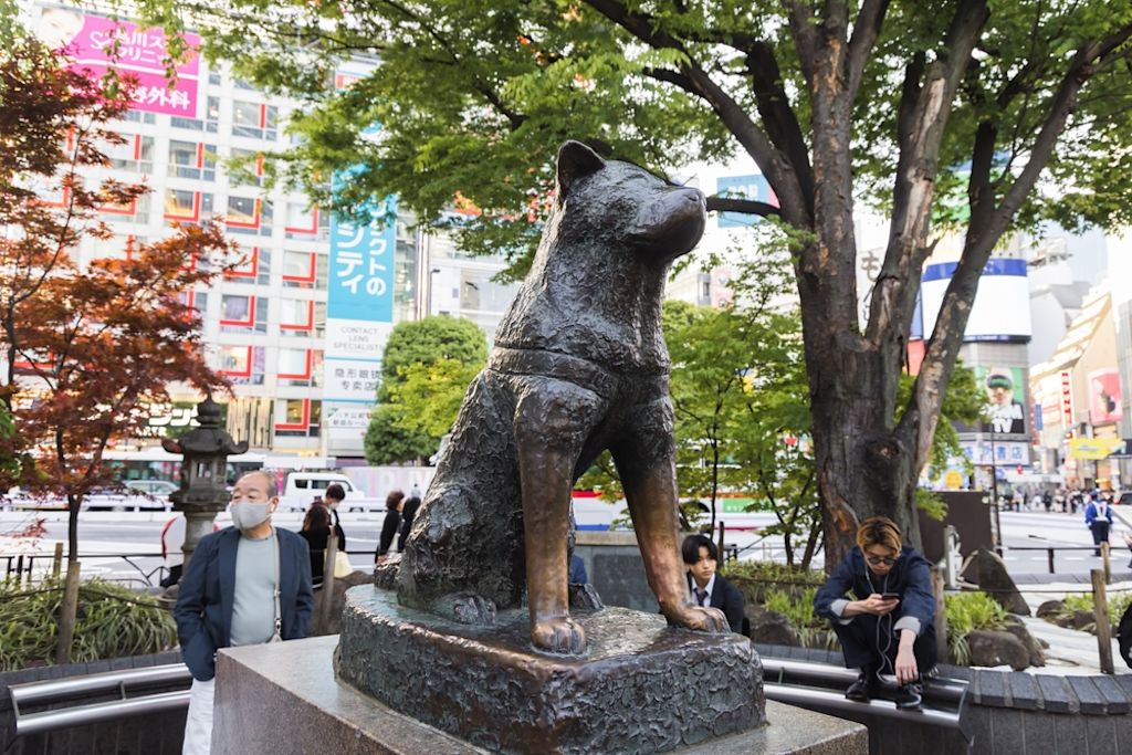 Hachiko