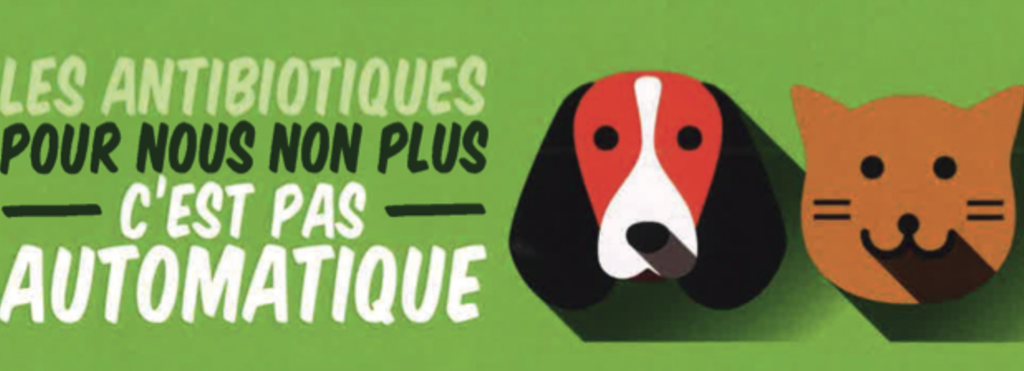 campagne antibiotiques vétérinaires 2014