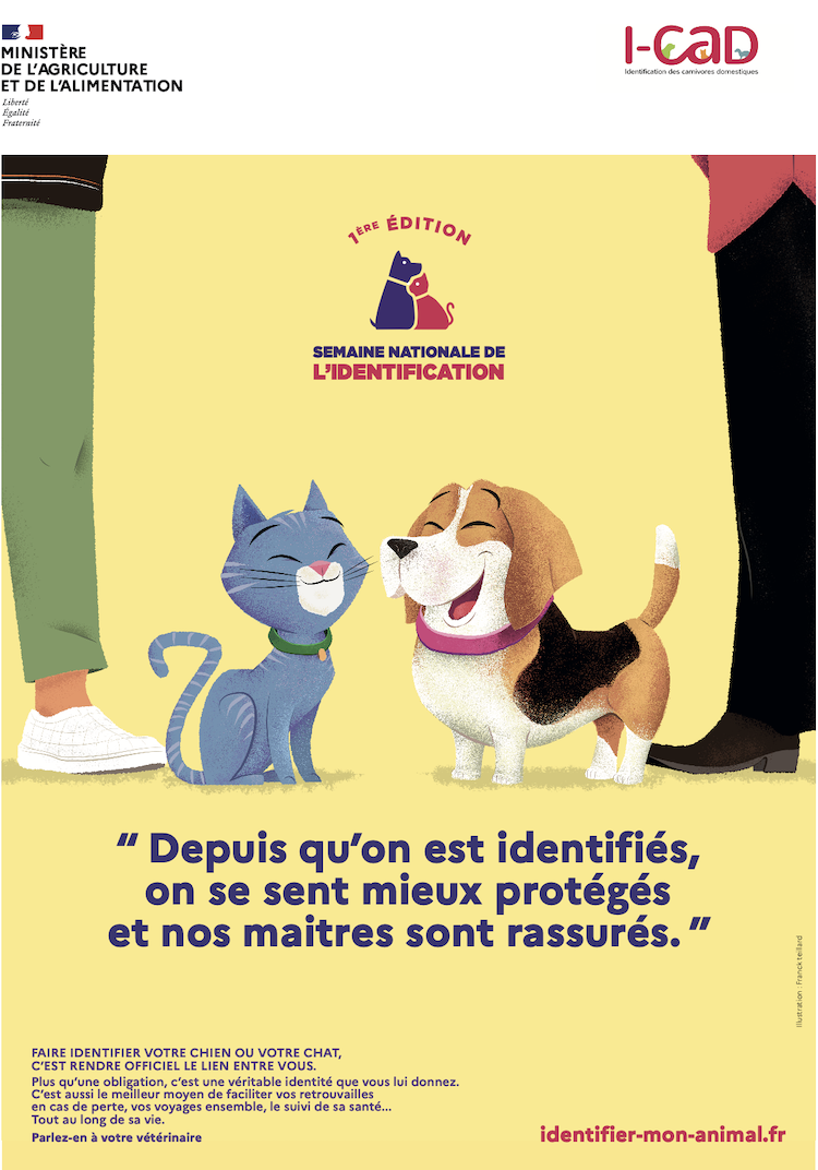 identification_chiens_chats_I_CAD_ministere_agricultre_2020