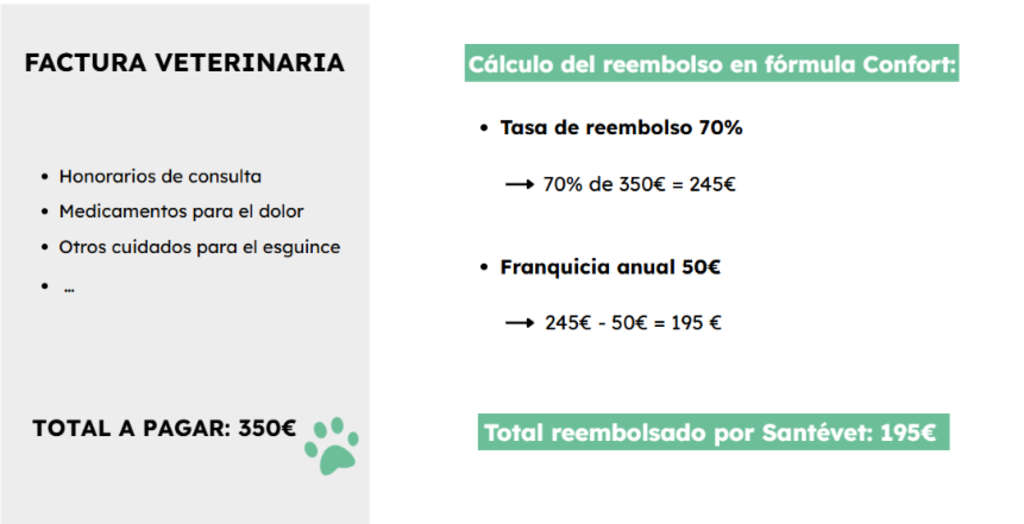 imagen blog