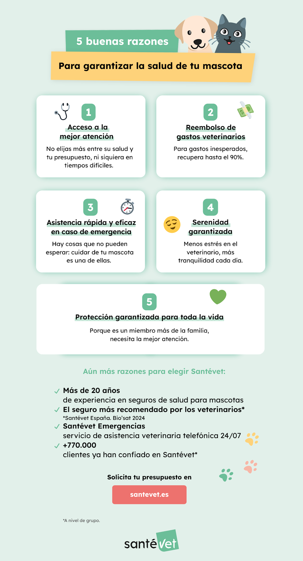 Por qué contratar un seguro médico para animales