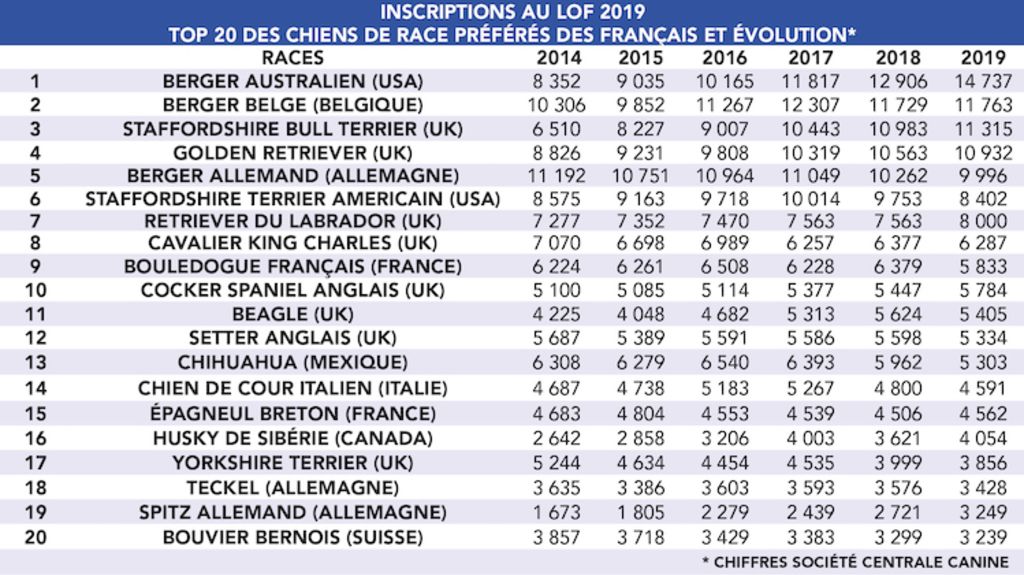 Top_20_Chiens_de_races_preferes_des_Français_2019_SCC