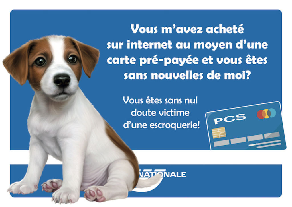 arnaque vente chiot internet
