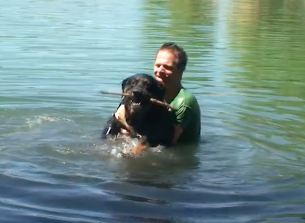 remi_gaillard_rottweiler