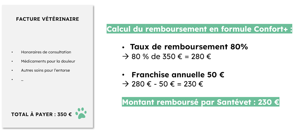 remboursement assurance Santévet