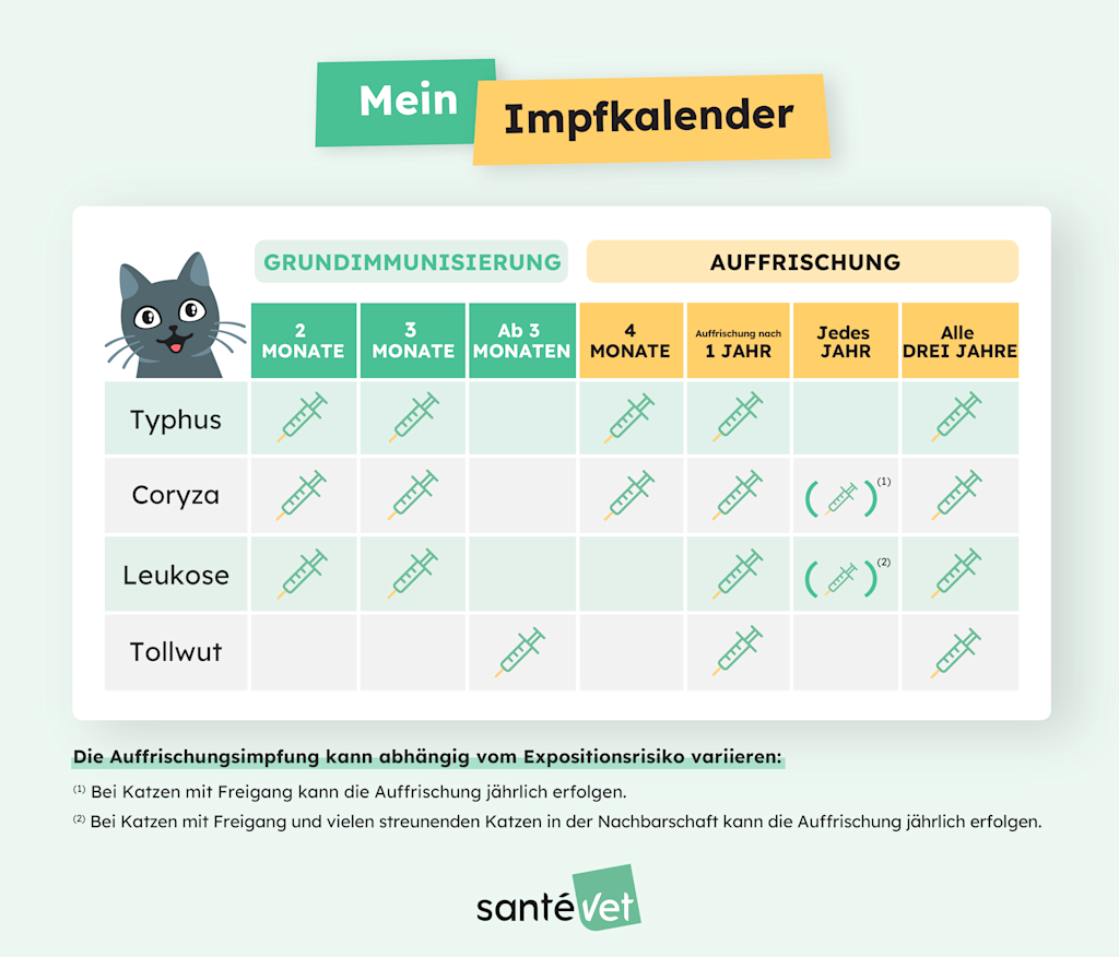 rappels de vaccination chez le chat