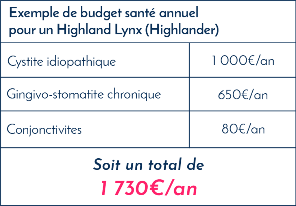 Highland_Lynx_Highlander_montant_frais_veterinaires