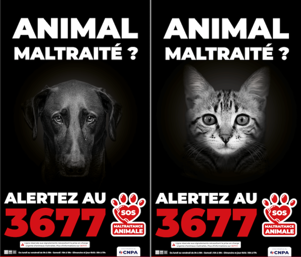 sos maltraintace animale