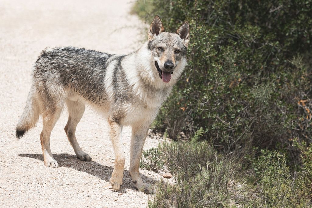 Viel Bewegung ist wichtig