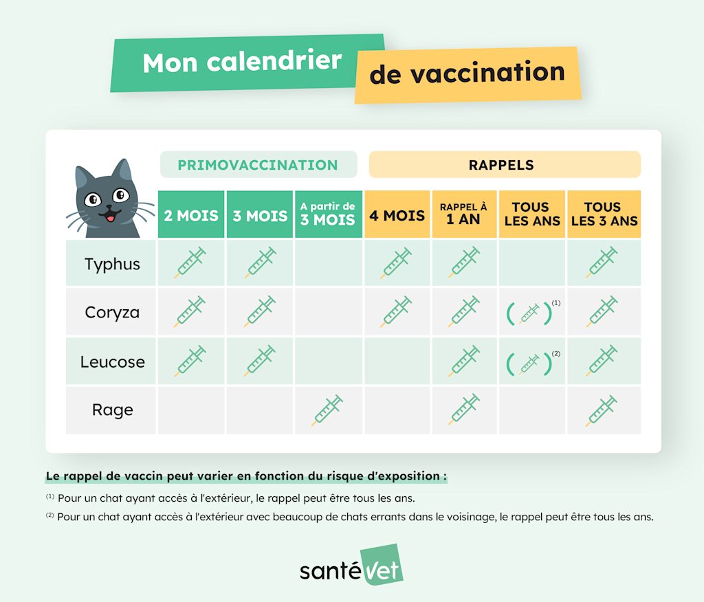 calendrier vaccination chat