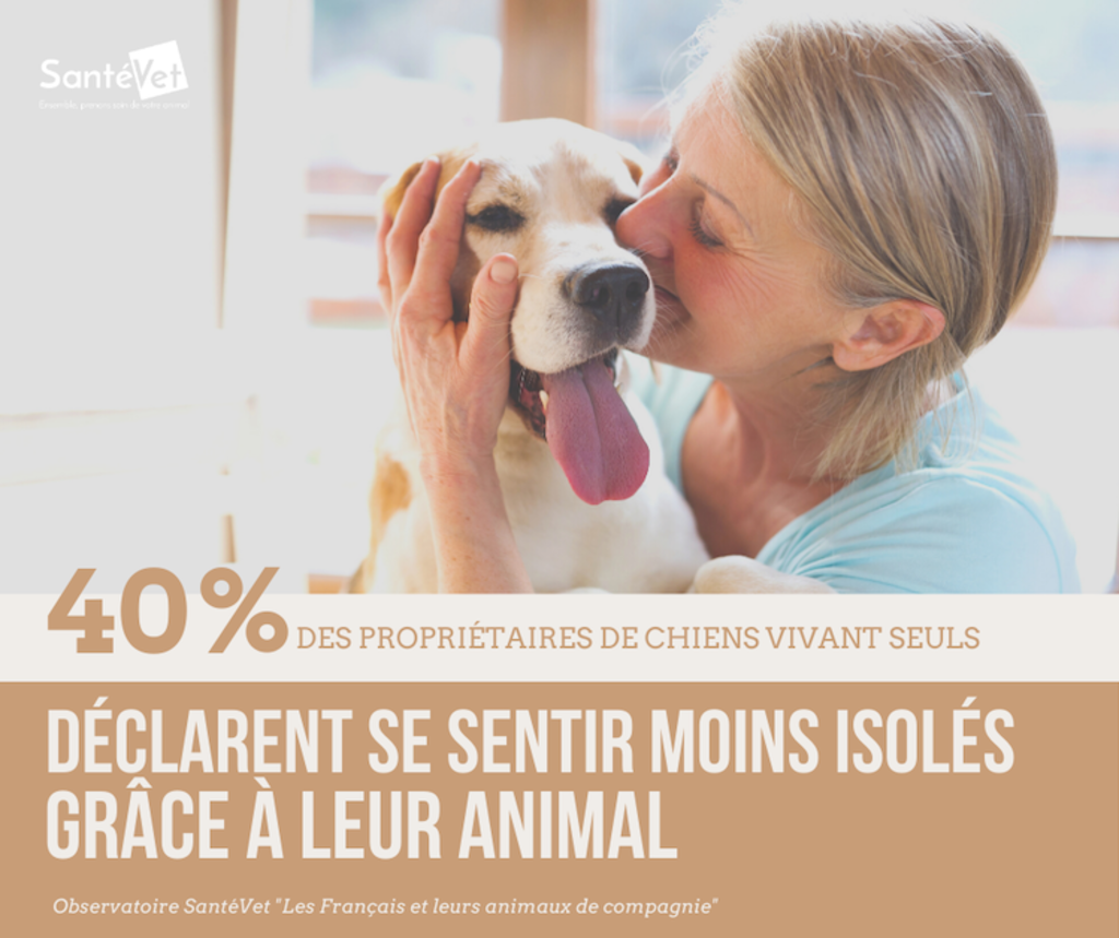 enquete_ipsos_santevet_2020_francais_chiens_chats_B