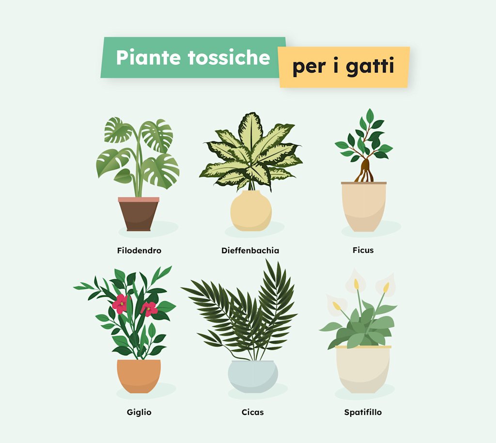 SVIT-Infographie Fleurs Toxiques Infographie - Chat Plantes toxiques 1